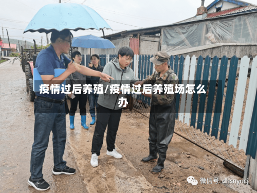 疫情过后养殖/疫情过后养殖场怎么办