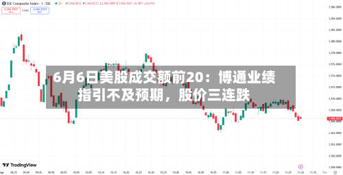 6月6日美股成交额前20：博通业绩指引不及预期	，股价三连跌-第2张图片
