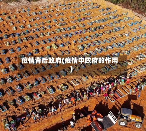 疫情背后政府(疫情中政府的作用)