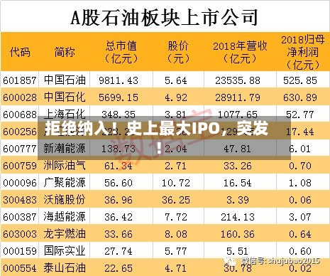 拒绝纳入！史上最大IPO，突发！-第2张图片