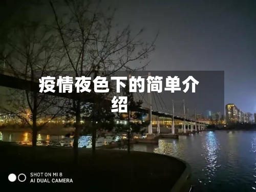 疫情夜色下的简单介绍