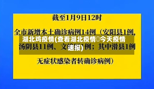湖北鸡疫情(查看湖北疫情査今天疫情速报)-第2张图片