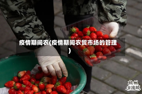 疫情期间农(疫情期间农贸市场的管理)