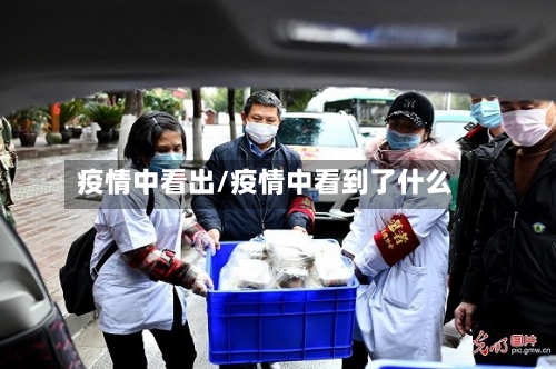 疫情中看出/疫情中看到了什么